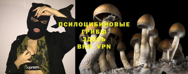 PSILOCYBIN Заводоуковск