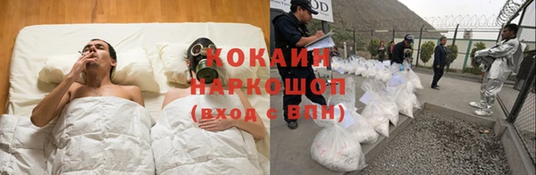 PSILOCYBIN Заводоуковск