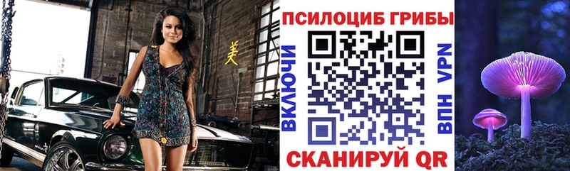Галлюциногенные грибы MAGIC MUSHROOMS  Купить закладки  Пустошка 